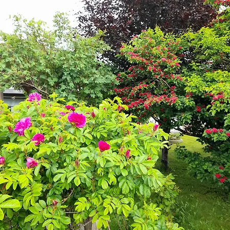 Apartman Cozy In The Center Leknes